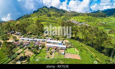 Aerial. Famous green tea plantation landscape view from Lipton's Seat, Haputale, Sri Lanka. Stock Photo