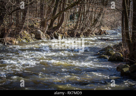 Lainsitz river in the winter, Waldviertel, Austria Stock Photo
