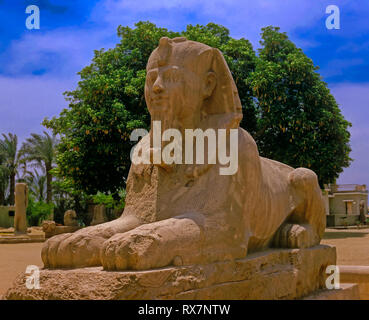 The giant Alabaster Sphinx (between 1700 and 1400 BC). Ruins of Memphis. Egypt. Africa Stock Photo