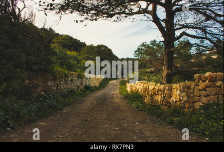 Countryside scene with dirt path and stone rubble walls and tree Stock Photo