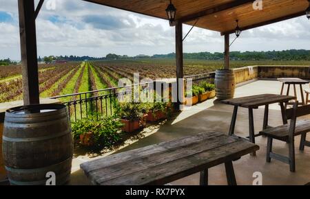 A view of rows of vines in a vineyard from a villa balcony with wooden tables and chairs Stock Photo
