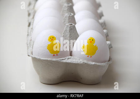 Fun egg box for Easter with two yellow Easter chicken painted on two of the eggs Stock Photo