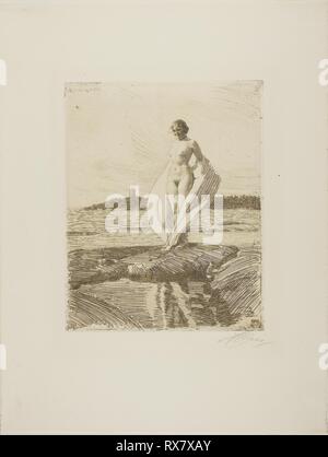 The Swan. Anders Zorn; Swedish, 1860-1920. Date: 1915. Dimensions: 248 x 198 mm (image/plate); 427 x 325 mm (sheet - folded). Etching on ivory laid paper. Origin: Sweden. Museum: The Chicago Art Institute. Stock Photo
