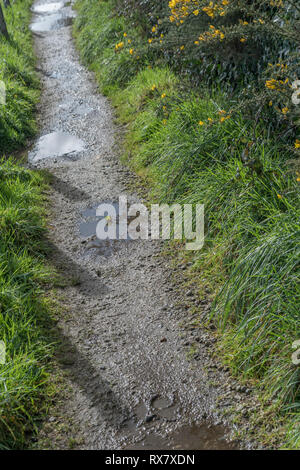 Worn gravel footpath in the UK countryside. Public right of way, weeds growing on path. Stock Photo