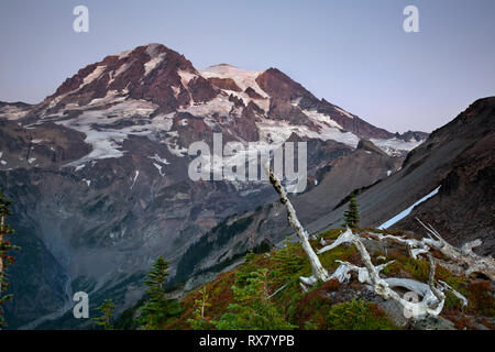 WA15906-00...WASHINGTON - Dusk on Colonnade Ridge with view of Mount Rainier in the backcountry of Mount Rainier National Park. Stock Photo