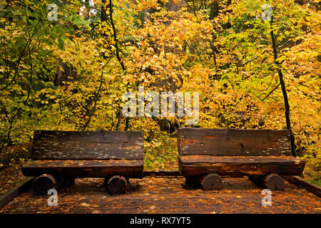 WA15921-00...WASHINGTON - Benches located along the boardwalk trail through the Grove of the Patriarchs in Mount Rainier National Park. Stock Photo