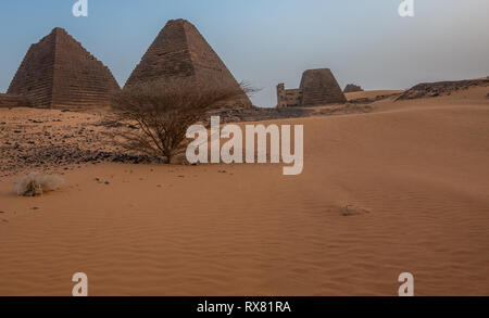 Meroe, Sudan, February 10., 2019: Pyramids of Meroe, Sudan, behind an acacia shrub Stock Photo