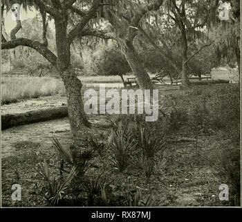 Economic botany of Alabama (1913-1928) Stock Photo