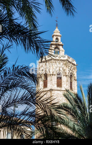 Valencia palm tree, medieval Valencia El Micalet tower at Valencia Cathedral Gotic Architecture Old Town Valencia Spain Stock Photo