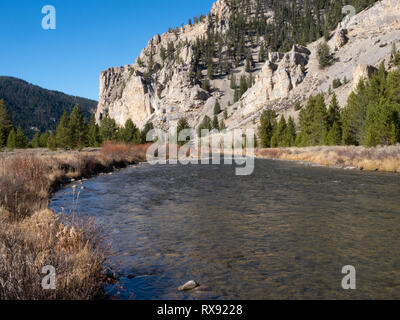 The Gallatin River flowing in Yellowstone National Park past stone cliffs and autumn vegetation. Stock Photo
