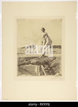 The Swan. Anders Zorn; Swedish, 1860-1920. Date: 1915. Dimensions: 248 x 198 mm (image/plate); 430 x 325 mm (sheet). Etching in black on cream laid paper. Origin: Sweden. Museum: The Chicago Art Institute. Stock Photo