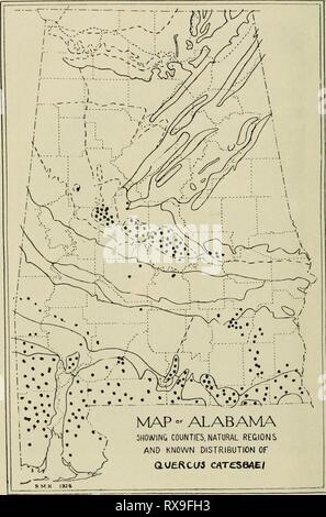 Economic botany of Alabama (1913-1928) Stock Photo