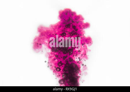 Pink paint dissolving in water against white background Stock Photo