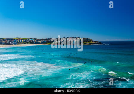Surfer in Bondi Beach are waiting for the right surf. Stock Photo