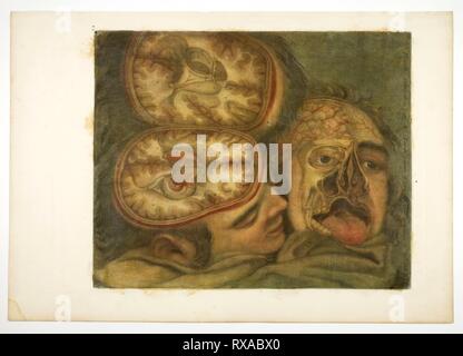 Cranial Dissection, plate five from Anatomy of the Head, in Printed Paintings. Jacques Fabien Gautier D'Agoty; French, 1710-1781. Date: 1748. Dimensions: 320 × 400 mm (image/plate); 392 × 560 mm (sheet). Color mezzotint, with touches of engraving on cream laid paper, varnished. Origin: France. Museum: The Chicago Art Institute. Stock Photo