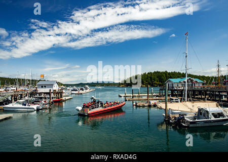 Friday Harbor (whale watching), San Juan Island, Washington State, USA Stock Photo