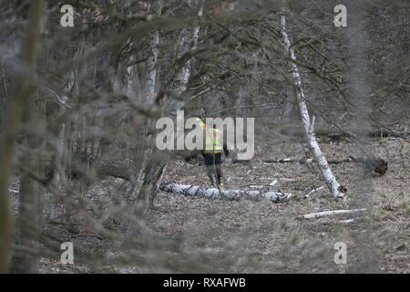 Kummersdorf Bei Storkow, Germany. 08th Mar, 2019. Brandenburg: Search operation of the riot police with dogs and helicopters in the forest after the missing Rebecca from Berlin. The forest area is located in southeastern Berlin near Storkow. The 15-year-old student is missing since 18 February 2019. Credit: Simone Kuhlmey/Pacific Press/Alamy Live News Stock Photo