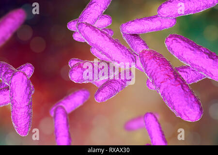 Bacteria of donovanosis infection, illustration Stock Photo - Alamy