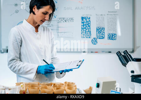 Scientist studying samples of soil in laboratory Stock Photo - Alamy