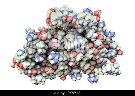 Erythropoietin hormone molecule, illustration Stock Photo