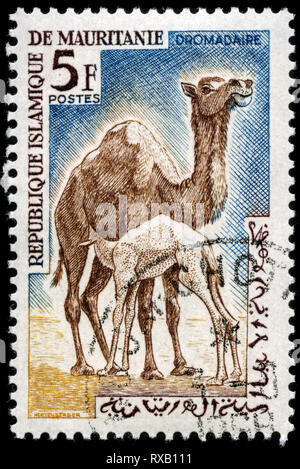 Postage stamp from Mauritania in the Birds series issued in 1963 Stock ...