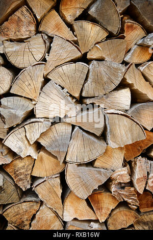 Close-up of woodpile in forest Stock Photo