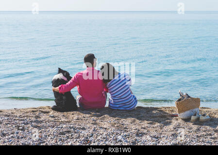 Rear view of couple with dog sitting at beach during sunny day Stock Photo
