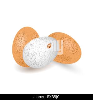 Two brown and one white eggs chicken  with shadow, isolated  on white background. Ladybug on white egg. Vector illustration Stock Vector