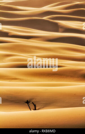 Endless waves of sand dune masses in deserted area of Stockton beach in Worimi national park on Australian pacific coast - vertical abstract fragment. Stock Photo