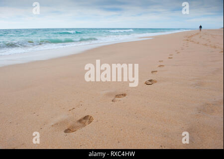 Line of footprints on a sandy beach leading to a distant unidentifiable figure Stock Photo