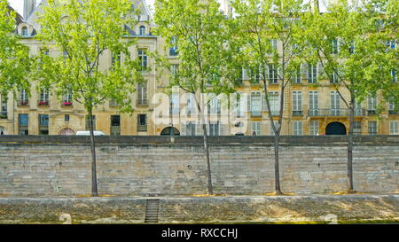 Trees beside the river in Paris and huge buildings on the back Stock Photo