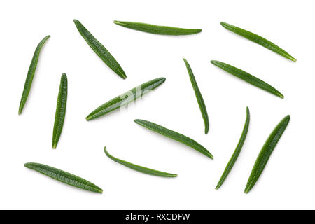 Rosemary leaves isolated on white background. Top view Stock Photo