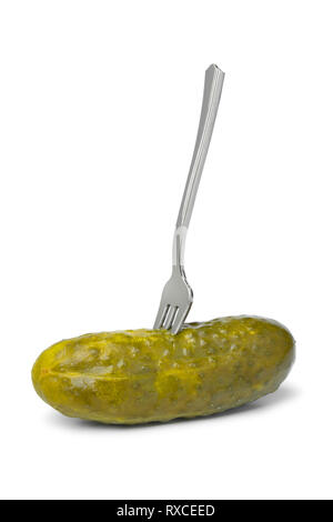 Whole pickled gherkin on a fork close upon white background Stock Photo