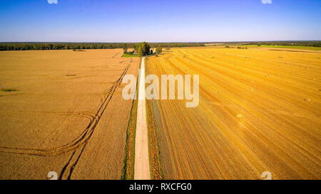 A cottage house in the middle of the two grain fields Stock Photo