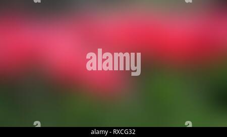 Vector blur background from red flower field. Web Stock Vector