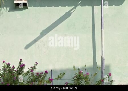 Street lamp shadow on a wall with violet flowers (Ari Atoll, Maldives) Stock Photo