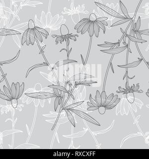 Monochrome Floral Rudbeckia Flower Line Drawing Seamless Pattern on Grey Background Stock Vector