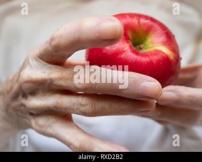 Close up of an elderly caucasian woman's hands holding a ripe red apple. Shallow depth of field. Stock Photo