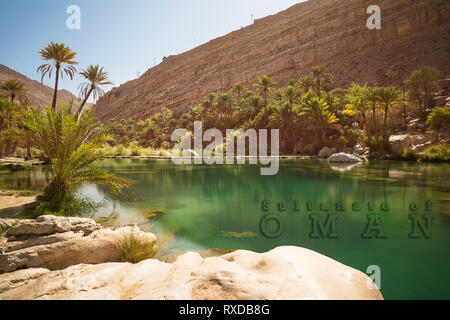 Wonderful lake and oasis with palm trees (Wadi Bani Khalid) in the Omani desert and overwritten text Stock Photo