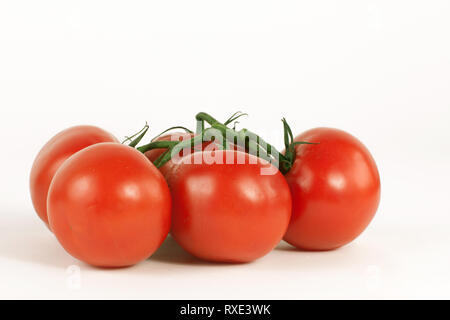 tomatoes on a branch .isolated white background Stock Photo