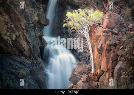 A Tree on the side of Epupa Falls, Namibia. Stock Photo