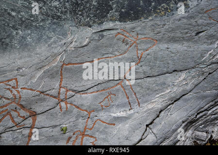 Almost 7000 years ago  stoneage fishermen and Reindeer herders made famous Grabergan rock carvings near Tennes in Balsfjord in Northern Norway. Stock Photo