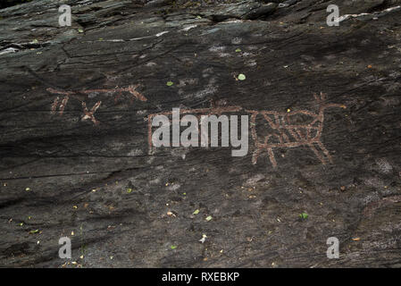 Almost 7000 years ago  stoneage fishermen and Reindeer herders made famous Bukkhammaren rock carvings near Tennes in Balsfjord in Northern Norway. Stock Photo