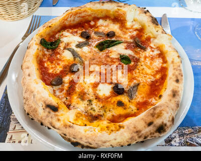 traditional italian pizza Napoli with anchovies, basil and olives baked in wood-fired oven on white plate in local restaurant in Lombardy Stock Photo