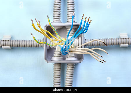 Copper wiring of new electrical junction box, process of installing surface mounted wiring, close up. Stock Photo