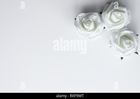 Top view of three white roses as a decoration with copy space on white table for valentines day. Gift concept. Stock Photo
