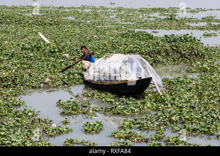 Khulna, Bangladesh, February 28 2017: Man rowing with a small wooden boat on a river full of aquatic plants near Khulna Stock Photo