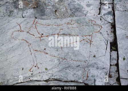 Almost 7000 years ago  stoneage fishermen and Reindeer herders made famous Grabergan rock carvings near Tennes in Balsfjord in Northern Norway. Stock Photo