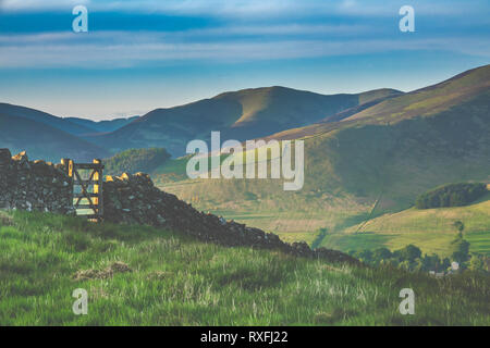 Traditional Dry Stone Wall In The Rolling Scottish Borders Countryside Stock Photo