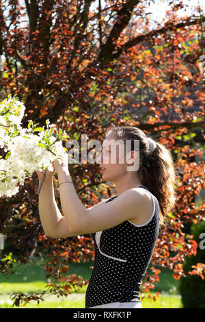 Young caucasian woman in a white dotted sleeveless dress takes a picture of apple tree blossoms with a compact camera on a bright sunny day. Stock Photo